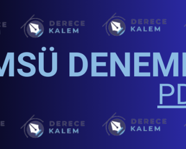 MSÜ Deneme PDF