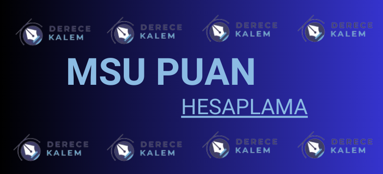 msü puan hesaplama